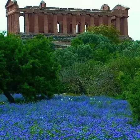 La Casa Di Athena Αγκριτζέντο